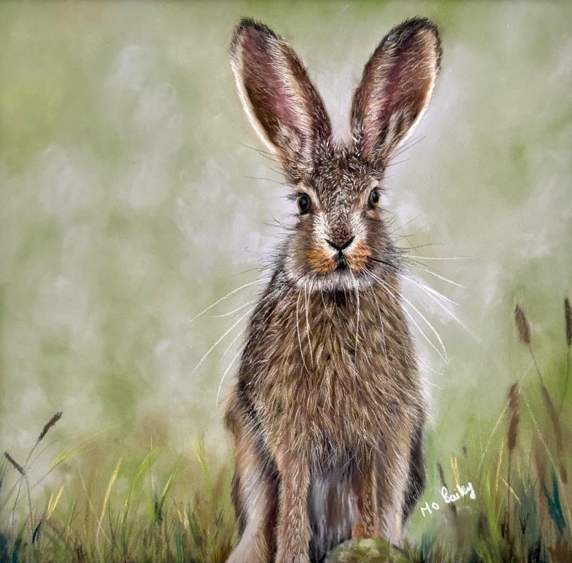Hare At Dawn